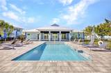 26331 Coco Cay Cir - Photo 48