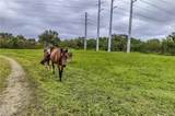 0000 Cutting Horse Ln - Photo 11