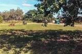 0000 Cutting Horse Ln - Photo 12