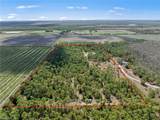 20601 Estero Pines Rd - Photo 3