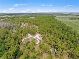 20601 Estero Pines Rd - Photo 8