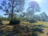 21151 Hidden Woods Trl - Photo 5