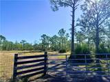 21151 Hidden Woods Trl - Photo 6