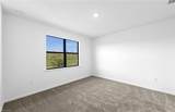 3849 Passion Vine Dr - Photo 30