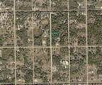 665 Olivo St - Photo 3