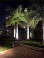 13447 Golden Palms Cir - Photo 20