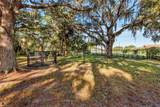 13447 Golden Palms Cir - Photo 26