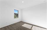 3849 Passion Vine Dr - Photo 9