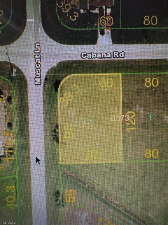 24515 Cabana Rd - Photo 1