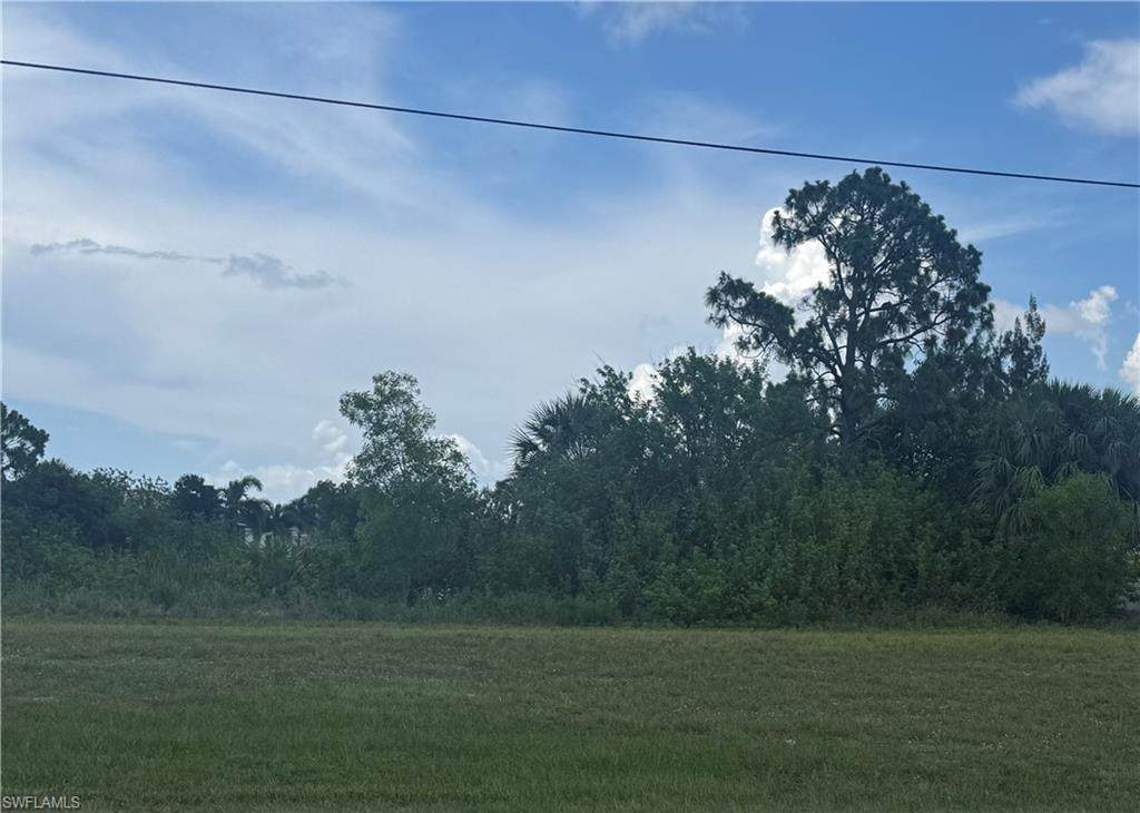 2437 Diplomat Pkwy - Photo 1