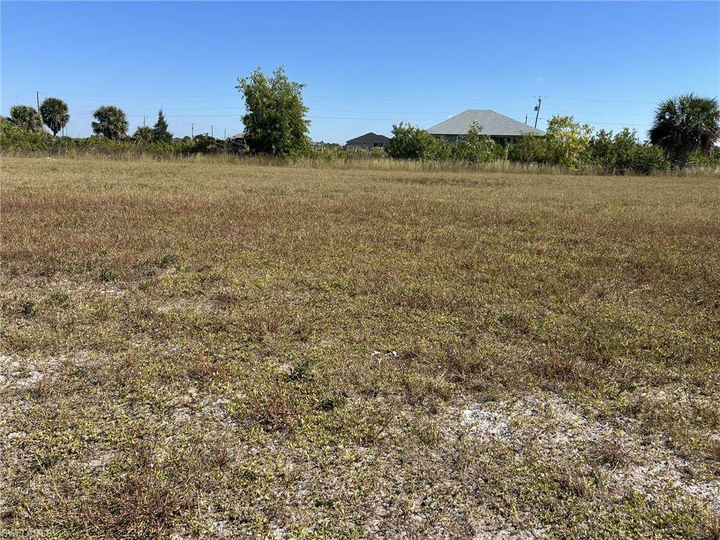 3835 Old Burnt Store Rd - Photo 1