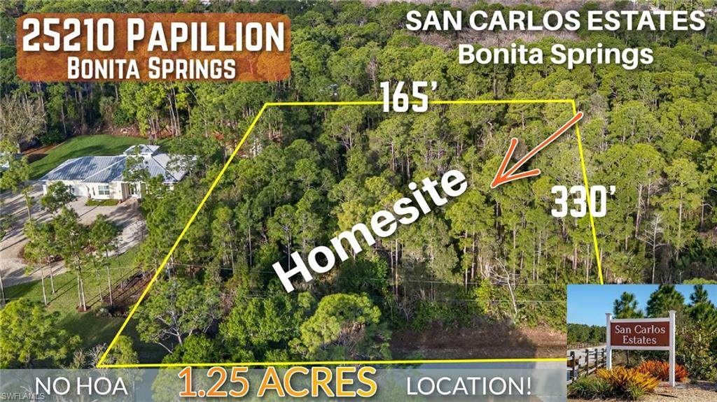 25210 Papillion Dr - Photo 1