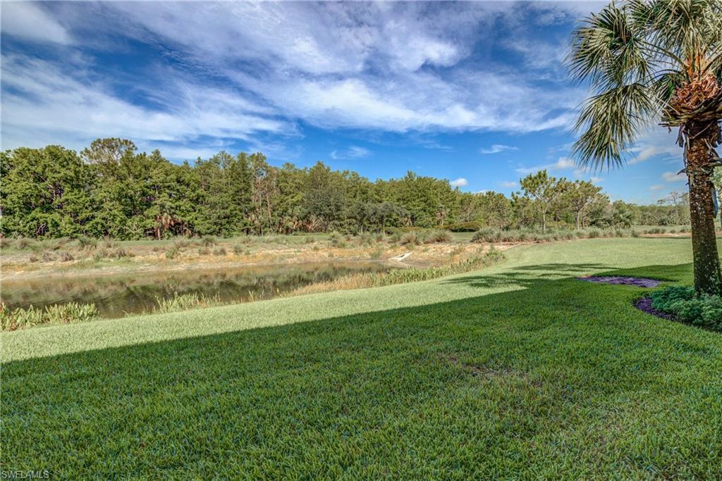 10303 Heritage Bay Blvd - Photo 1