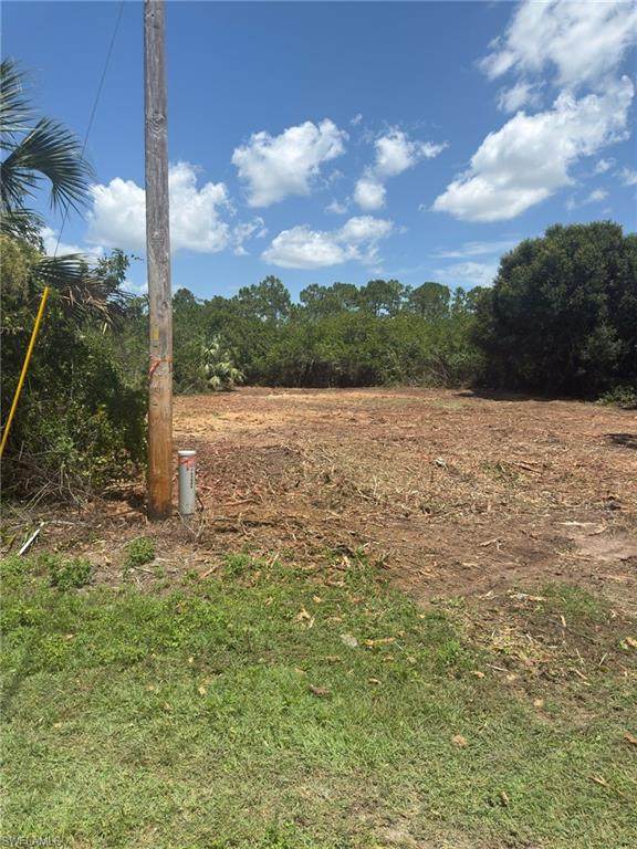 449 Naples Ave - Photo 1