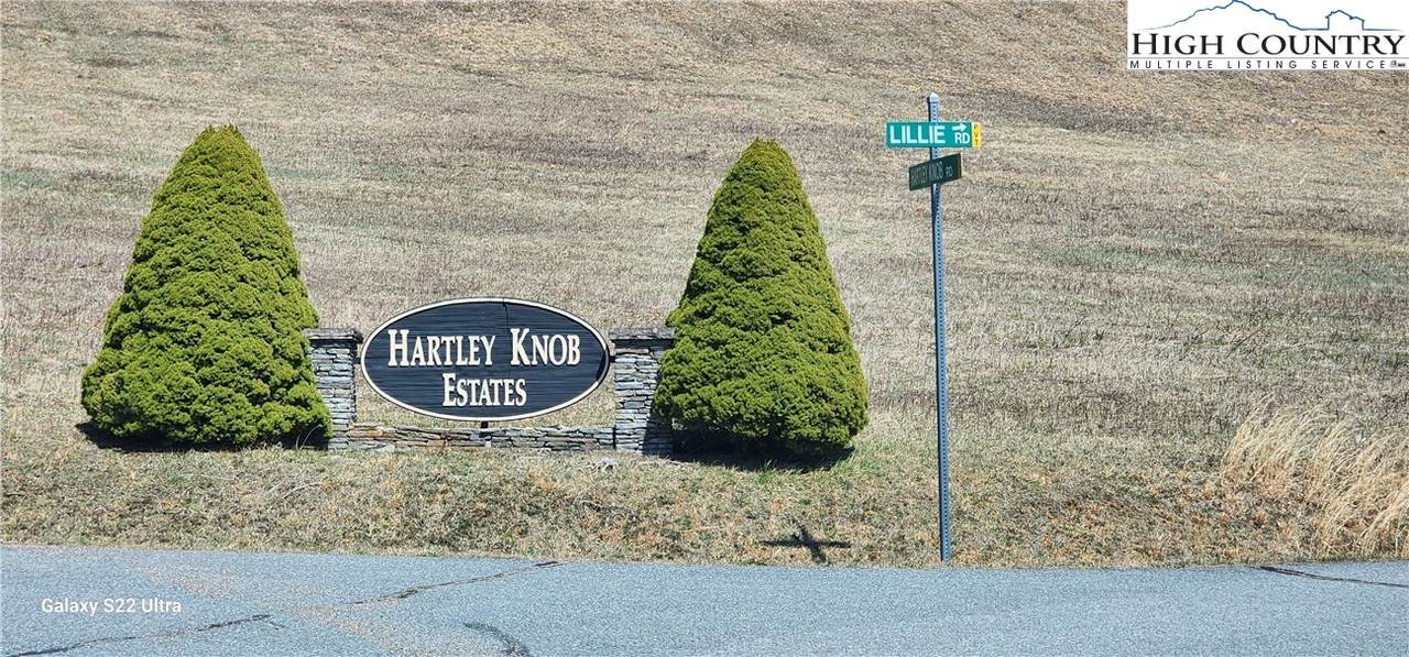 TBD Lillie Road - Photo 1