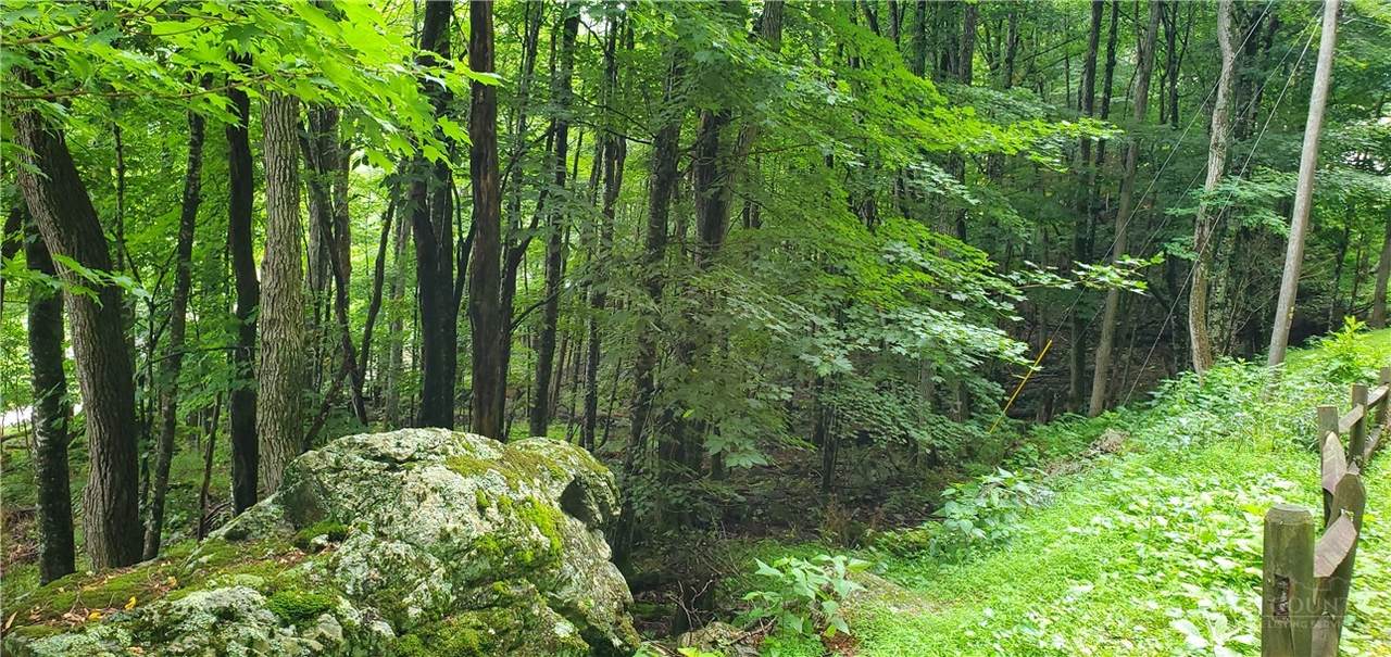 https://bt-photos.global.ssl.fastly.net/boone/1280_boomver_1_262996-2.jpg