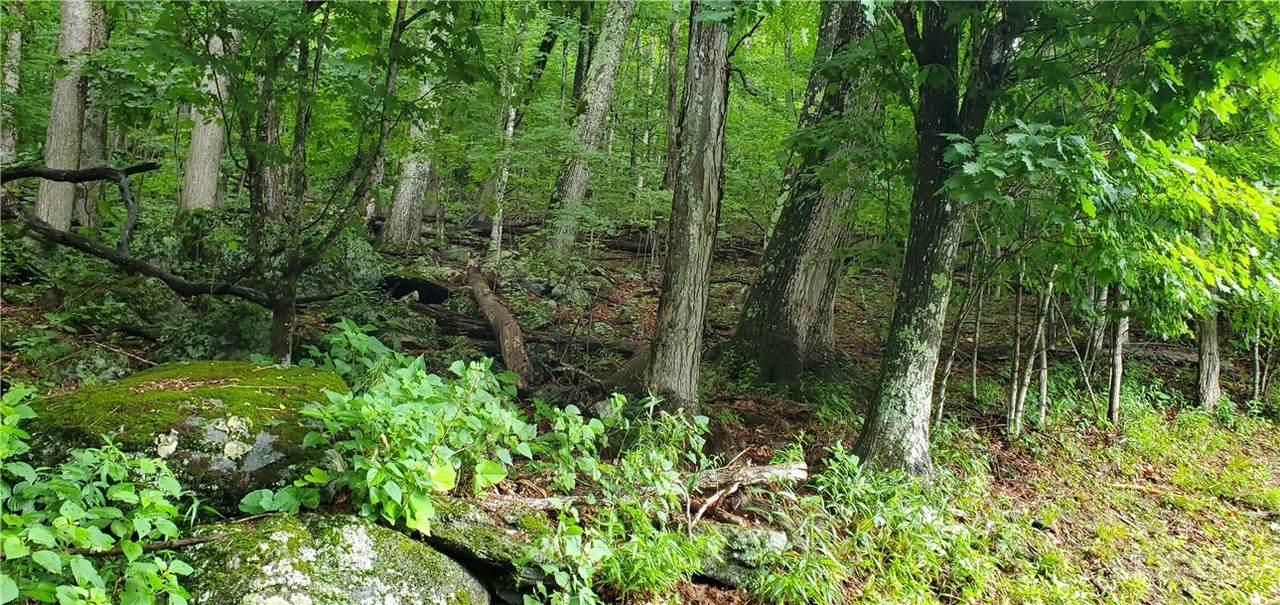 Lot 87 Thorncliff Drive - Photo 1