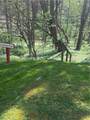 lot 39 Rainbow Ridge Road - Photo 15