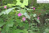 TBD Nettles Ridge #38R Hunter's Ridge - Photo 5