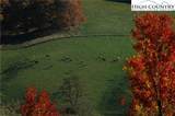 50 Mountain Vista Drive - Photo 7