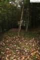 LOT 21 Chestnut Creek Road - Photo 3