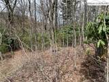 Lot 3 Cora's Path - Photo 2