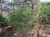 Lot 3 Cora's Path - Photo 4