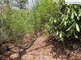 Lot 3 Cora's Path - Photo 5