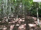 TBD/Lot 11 Fernwood Lane - Photo 12