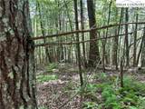 TBD/Lot 11 Fernwood Lane - Photo 13
