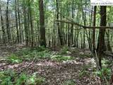 TBD/Lot 11 Fernwood Lane - Photo 14