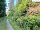 TBD/Lot 11 Fernwood Lane - Photo 16