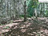 TBD/Lot 11 Fernwood Lane - Photo 4