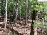 TBD/Lot 11 Fernwood Lane - Photo 5