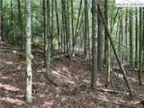 TBD/Lot 11 Fernwood Lane - Photo 6