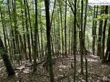 TBD/Lot 11 Fernwood Lane - Photo 9
