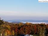 301 Pinnacle Inn Road - Photo 30