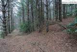TBD Winklers Creek - Photo 27
