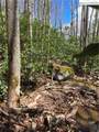 Lot 102 Buckeye Creek Road - Photo 13