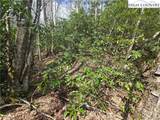 Lot 102 Buckeye Creek Road - Photo 14