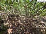 Lot 102 Buckeye Creek Road - Photo 15