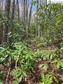 Lot 102 Buckeye Creek Road - Photo 16
