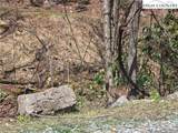 Lot 102 Buckeye Creek Road - Photo 17