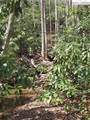 Lot 102 Buckeye Creek Road - Photo 3