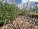 Lot 102 Buckeye Creek Road - Photo 4