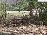 Lot 102 Buckeye Creek Road - Photo 5