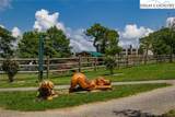 301 Pinnacle Inn Road - Photo 45