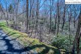 Lot 1 Tanawha Parkway - Photo 11