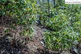 Lot 1 Tanawha Parkway - Photo 18