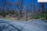 Lot 1 Tanawha Parkway - Photo 21